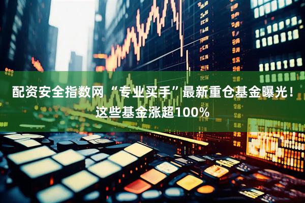 配资安全指数网 “专业买手”最新重仓基金曝光！这些基金涨超100%