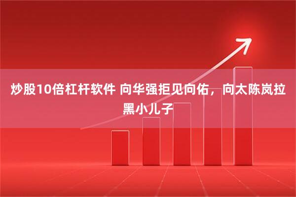 炒股10倍杠杆软件 向华强拒见向佑，向太陈岚拉黑小儿子